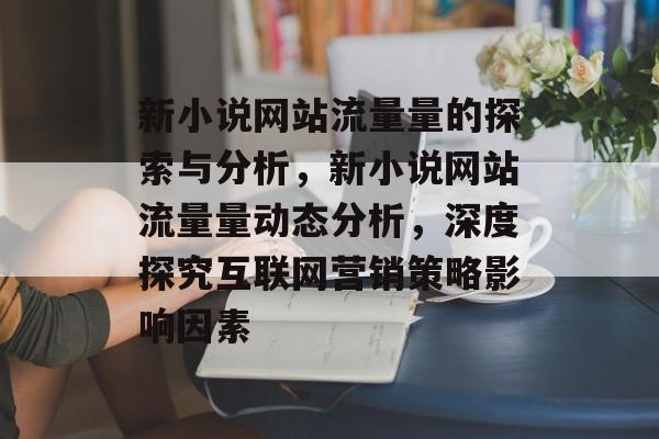 新小说网站流量量的探索与分析，新小说网站流量量动态分析，深度探究互联网营销策略影响因素