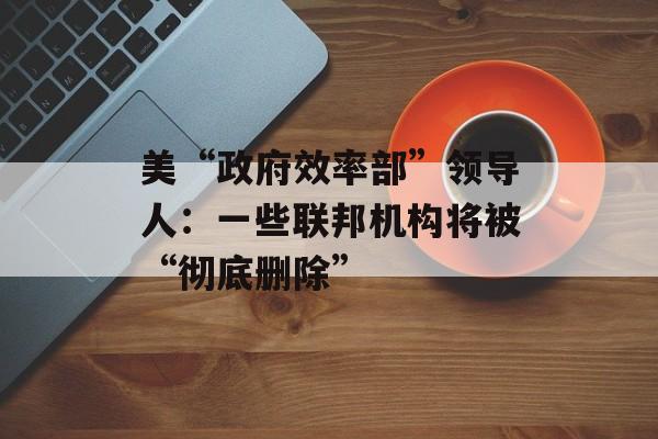 美“政府效率部”领导人：一些联邦机构将被“彻底删除”