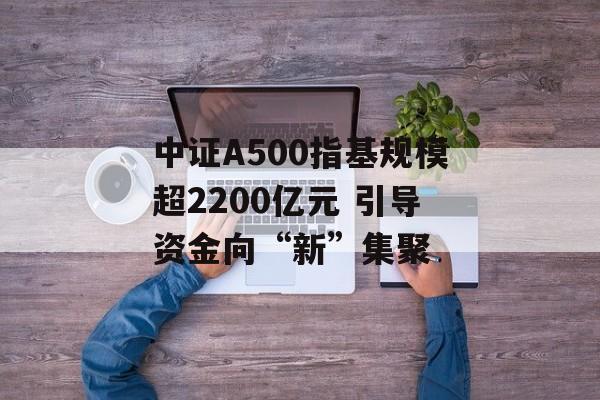 中证A500指基规模超2200亿元 引导资金向“新”集聚 中证A500指基规模超2200亿元 引导资金向“新”集聚