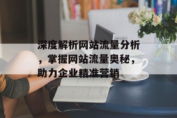 深度解析网站流量分析，掌握网站流量奥秘，助力企业精准营销