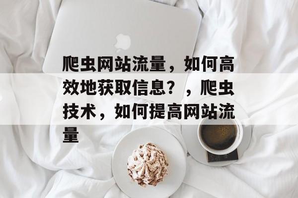 爬虫网站流量，如何高效地获取信息？，爬虫技术，如何提高网站流量