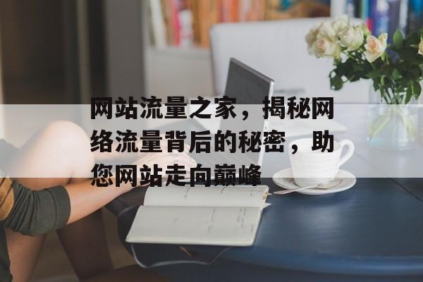 网站流量之家，揭秘网络流量背后的秘密，助您网站走向巅峰