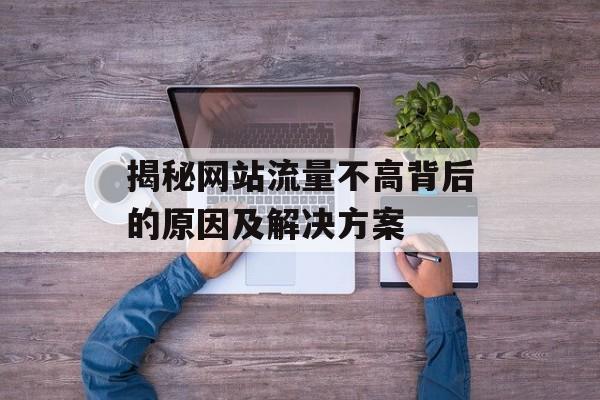揭秘网站流量不高背后的原因及解决方案