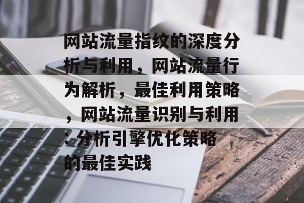 网站流量指纹的深度分析与利用，网站流量行为解析，最佳利用策略，网站流量识别与利用: 分析引擎优化策略的最佳实践
