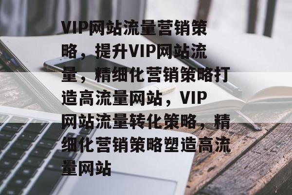VIP网站流量营销策略，提升VIP网站流量，精细化营销策略打造高流量网站，VIP网站流量转化策略，精细化营销策略塑造高流量网站
