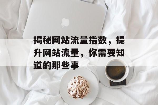揭秘网站流量指数,提升网站流量,你需要知道的那些事 揭秘网站流量指数,提升网站流量,你需要知道的那些事