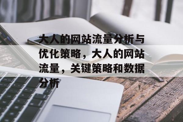 大人的网站流量分析与优化策略，大人的网站流量，关键策略和数据分析