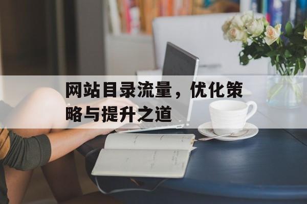 网站目录流量，优化策略与提升之道