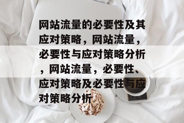 网站流量的必要性及其应对策略，网站流量，必要性与应对策略分析，网站流量，必要性、应对策略及必要性与应对策略分析