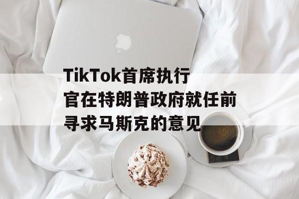 TikTok首席执行官在特朗普政府就任前寻求马斯克的意见 TikTok首席执行官在特朗普政府就任前寻求马斯克的意见