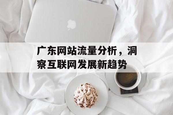 广东网站流量分析,洞察互联网发展新趋势 广东网站流量分析,洞察互联网发展新趋势
