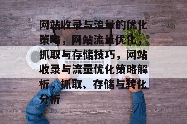 网站收录与流量的优化策略，网站流量优化，抓取与存储技巧，网站收录与流量优化策略解析，抓取、存储与转化分析