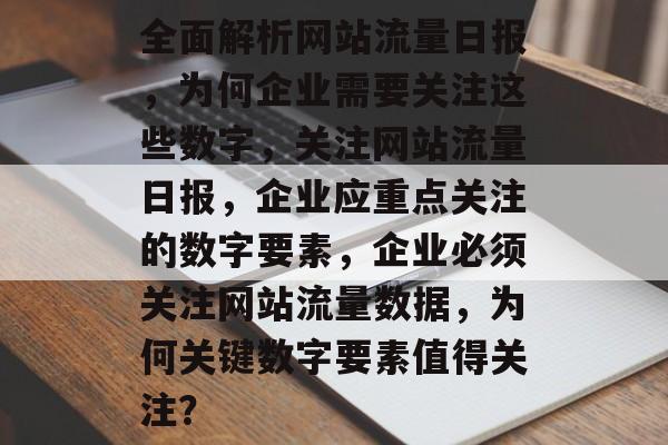 全面解析网站流量日报，为何企业需要关注这些数字，关注网站流量日报，企业应重点关注的数字要素，企业必须关注网站流量数据，为何关键数字要素值得关注？