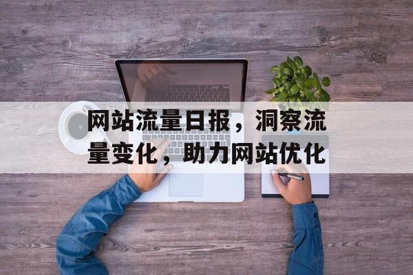 网站流量日报，洞察流量变化，助力网站优化