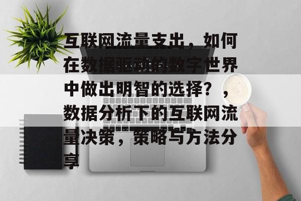 互联网流量支出，如何在数据驱动的数字世界中做出明智的选择？，数据分析下的互联网流量决策，策略与方法分享