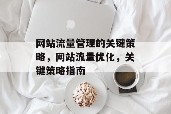 网站流量管理的关键策略，网站流量优化，关键策略指南