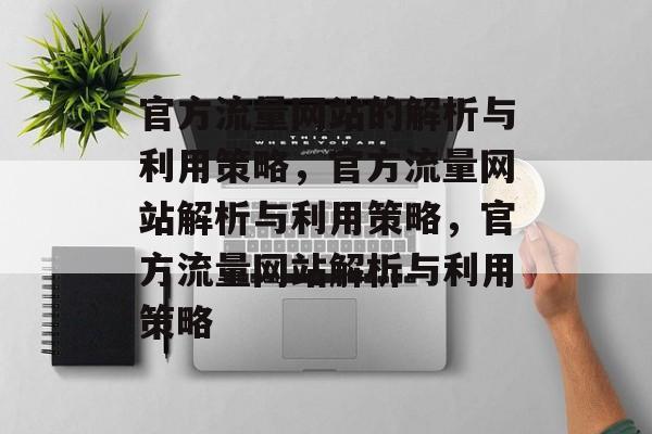 官方流量网站的解析与利用策略，官方流量网站解析与利用策略，官方流量网站解析与利用策略