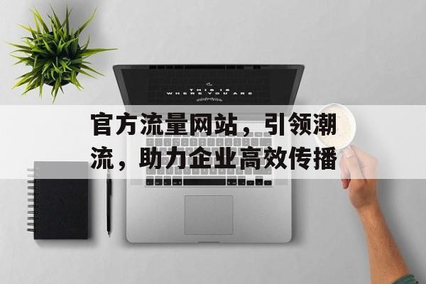 官方流量网站，引领潮流，助力企业高效传播