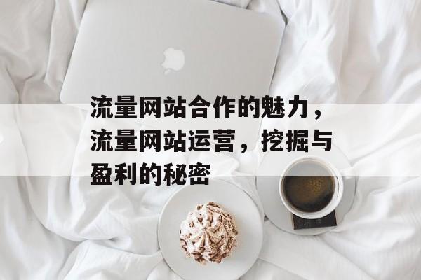 流量网站合作的魅力,流量网站运营,挖掘与盈利的秘密 流量网站合作的魅力,流量网站运营,挖掘与盈利的秘密