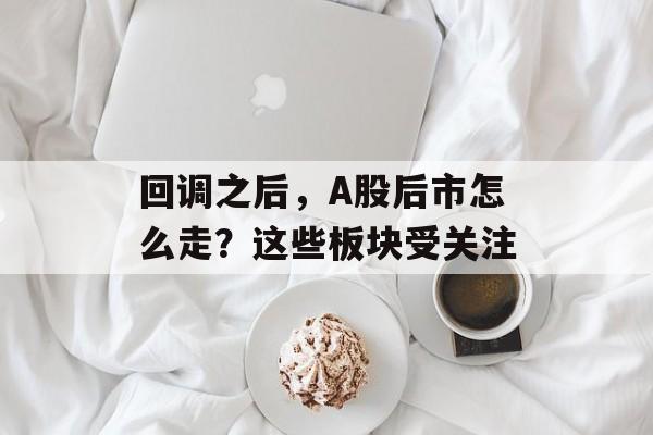 回调之后,A股后市怎么走?这些板块受关注 回调之后,A股后市怎么走?这些板块受关注