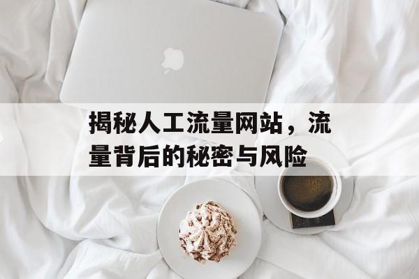 揭秘人工流量网站,流量背后的秘密与风险 揭秘人工流量网站,流量背后的秘密与风险