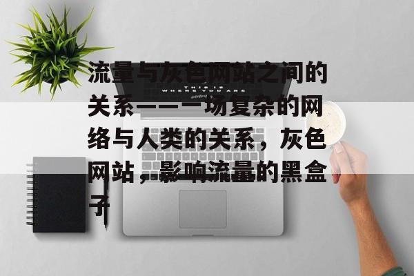 流量与灰色网站之间的关系——一场复杂的网络与人类的关系,灰色网站,影响流量的黑盒子 流量与灰色网站之间的关系——一场复杂的网络与人类的关系,灰色网站,影响流量的黑盒子