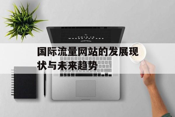 国际流量网站的发展现状与未来趋势