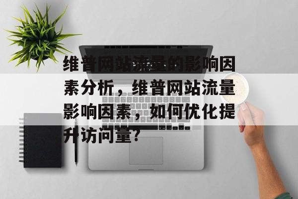 维普网站流量的影响因素分析，维普网站流量影响因素，如何优化提升访问量?