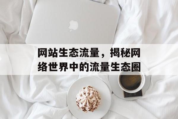 网站生态流量，揭秘网络世界中的流量生态圈