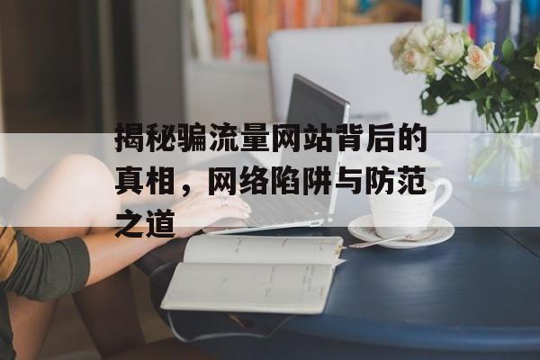 揭秘骗流量网站背后的真相，网络陷阱与防范之道