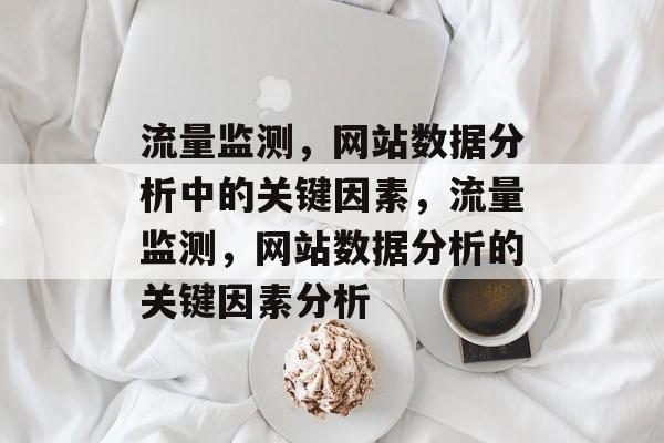流量监测，网站数据分析中的关键因素，流量监测，网站数据分析的关键因素分析