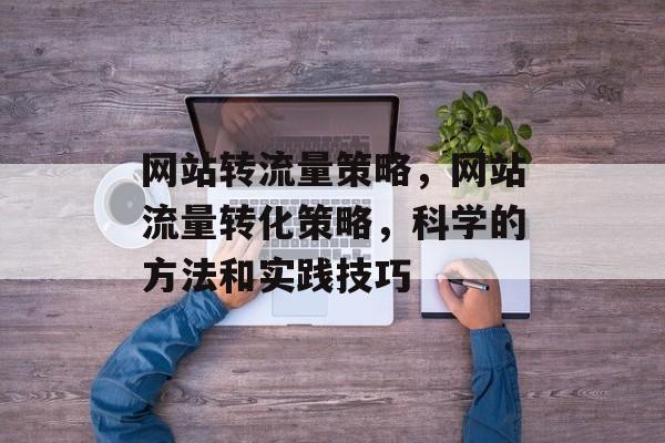 网站转流量策略，网站流量转化策略，科学的方法和实践技巧