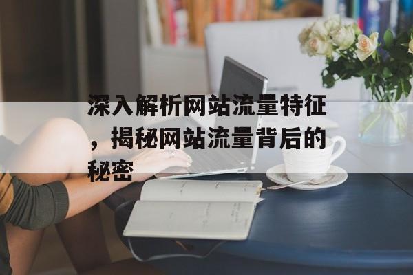 深入解析网站流量特征,揭秘网站流量背后的秘密 深入解析网站流量特征,揭秘网站流量背后的秘密