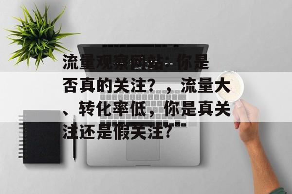 流量观察网站: 你是否真的关注？，流量大、转化率低，你是真关注还是假关注?