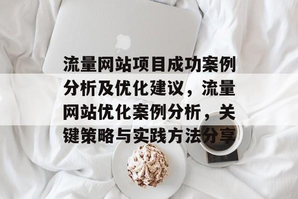 流量网站项目成功案例分析及优化建议，流量网站优化案例分析，关键策略与实践方法分享
