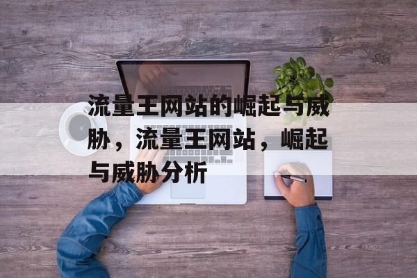 流量王网站的崛起与威胁，流量王网站，崛起与威胁分析