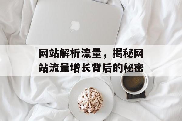 网站解析流量，揭秘网站流量增长背后的秘密