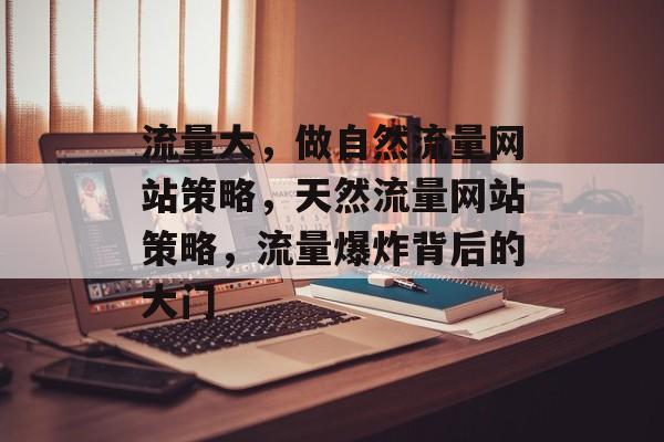 流量大,做自然流量网站策略,天然流量网站策略,流量爆炸背后的大门 流量大,做自然流量网站策略,天然流量网站策略,流量爆炸背后的大门