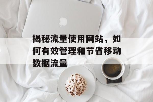 揭秘流量使用网站,如何有效管理和节省移动数据流量 揭秘流量使用网站,如何有效管理和节省移动数据流量