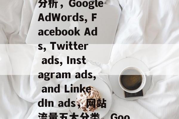 网站流量分成五大类别，Google AdWords、Facebook Ads、Twitter广告、Instagram广告和LinkedIn广告，网站流量五大分类分析，Google AdWords, Facebook Ads, Twitter ads, Instagram ads, and LinkedIn ads，网站流量五大分类，Google AdWords, Facebook Ads, Twitter ads, Instagram ads, and LinkedIn ads