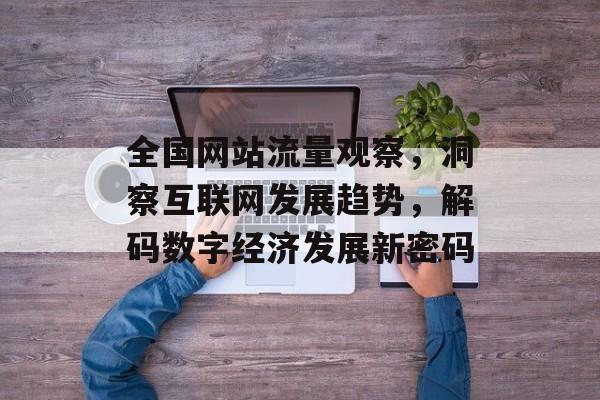 全国网站流量观察，洞察互联网发展趋势，解码数字经济发展新密码