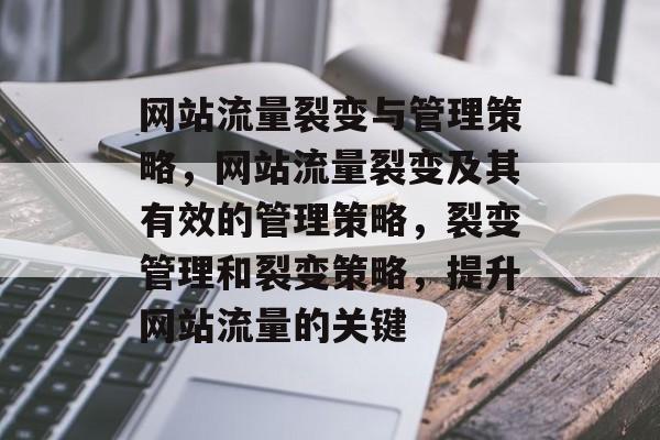 网站流量裂变与管理策略，网站流量裂变及其有效的管理策略，裂变管理和裂变策略，提升网站流量的关键