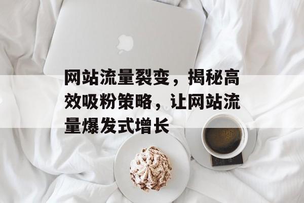 网站流量裂变，揭秘高效吸粉策略，让网站流量爆发式增长