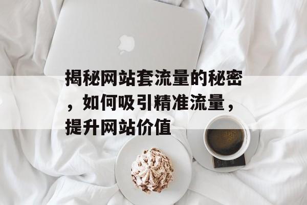 揭秘网站套流量的秘密，如何吸引精准流量，提升网站价值