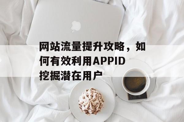 网站流量提升攻略，如何有效利用APPID挖掘潜在用户