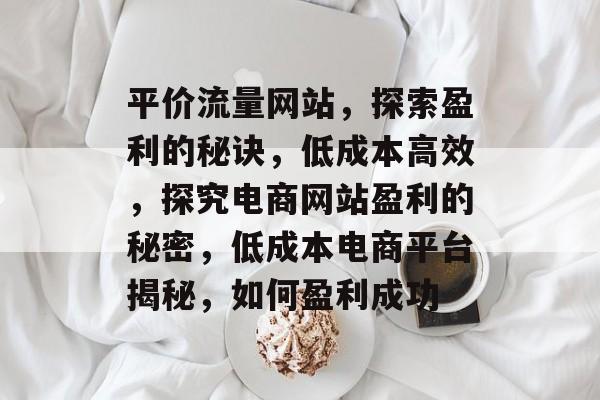 平价流量网站,探索盈利的秘诀,低成本高效,探究电商网站盈利的秘密,低成本电商平台揭秘,如何盈利成功 平价流量网站,探索盈利的秘诀,低成本高效,探究电商网站盈利的秘密,低成本电商平台揭秘,如何盈利成功