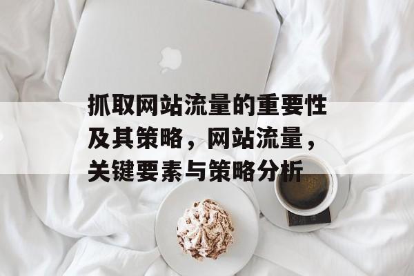 抓取网站流量的重要性及其策略，网站流量，关键要素与策略分析