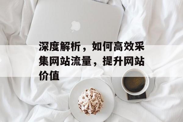 深度解析，如何高效采集网站流量，提升网站价值