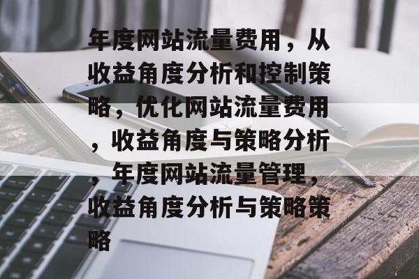 年度网站流量费用,从收益角度分析和控制策略,优化网站流量费用,收益角度与策略分析,年度网站流量管理,收益角度分析与策略策略 年度网站流量费用,从收益角度分析和控制策略,优化网站流量费用,收益角度与策略分析,年度网站流量管理,收益角度分析与策略策略