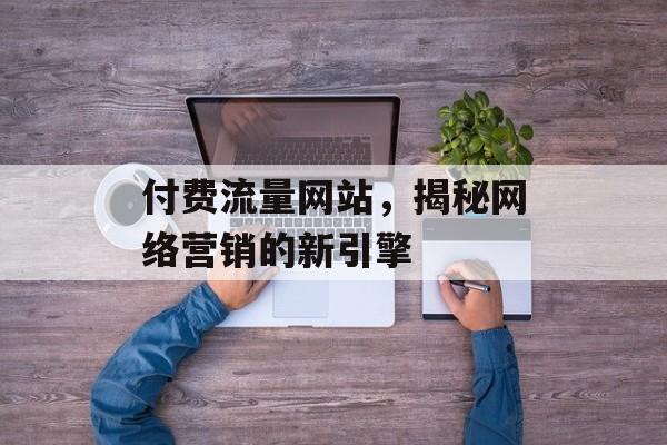 付费流量网站，揭秘网络营销的新引擎